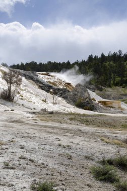 Wyoming Amerika'da mamut sıcak Springs termal yaylar
