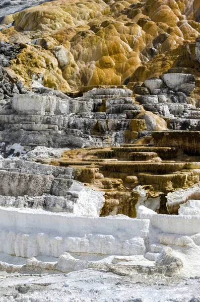 Wyoming Amerika'da mamut sıcak Springs termal yaylar