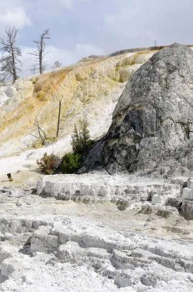 Wyoming Amerika'da mamut sıcak Springs termal yaylar