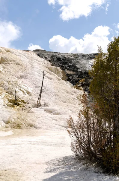 Wyoming Amerika'da mamut sıcak Springs termal yaylar