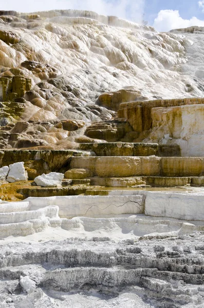 thermal springs at mammoth hot springs in Wyoming in America