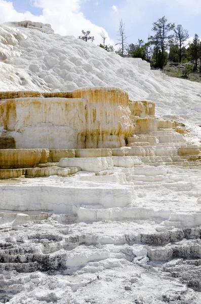 Aguas Termales Las Fuentes Termales Mamut Wyoming América — Foto de Stock