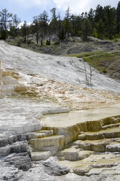 Aguas Termales Las Fuentes Termales Mamut Wyoming América — Foto de Stock