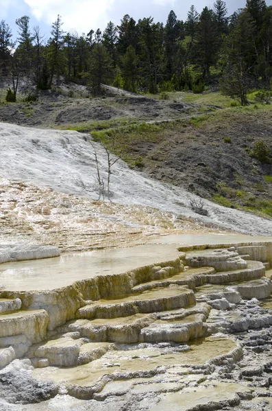 Sorgenti Termali Mammut Sorgenti Termali Wyoming America — Foto Stock