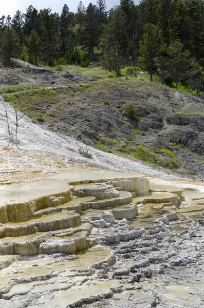 Wyoming Amerika'da mamut sıcak Springs termal yaylar
