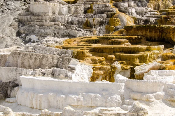 Wyoming Amerika'da mamut sıcak Springs termal yaylar