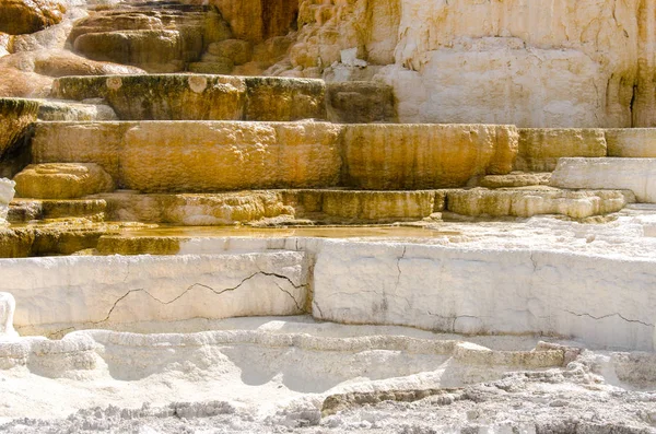 thermal springs at mammoth hot springs in Wyoming in America