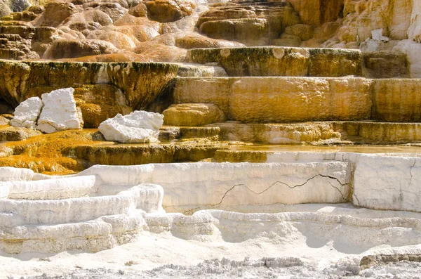 thermal springs at mammoth hot springs in Wyoming in America