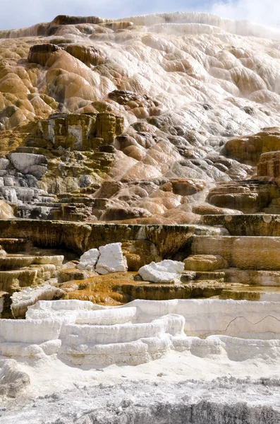 Źródeł Termalnych Mammoth Hot Springs Stanie Wyoming Ameryce — Zdjęcie stockowe