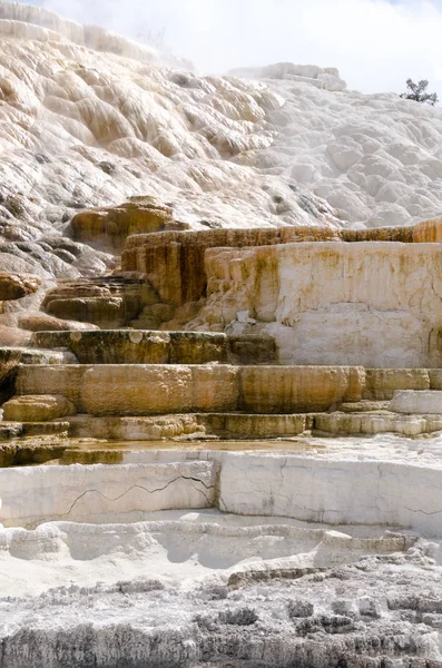 thermal springs at mammoth hot springs in Wyoming in America