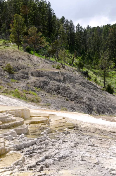 Wyoming Amerika'da mamut sıcak Springs termal yaylar