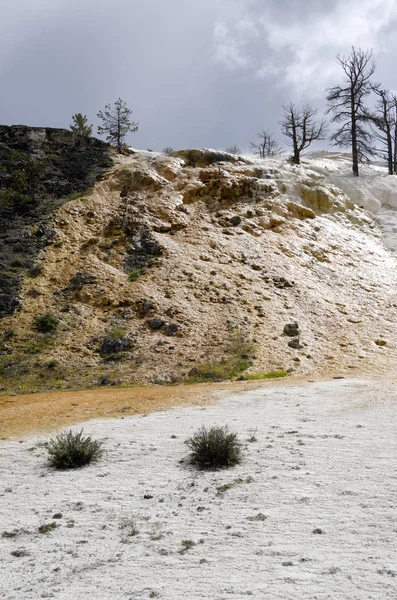 Sorgenti Termali Mammut Sorgenti Termali Wyoming America — Foto Stock