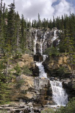 Alberta Kanada dolaştırmak Creek şelale 