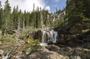 Alberta Kanada dolaştırmak Creek şelale 