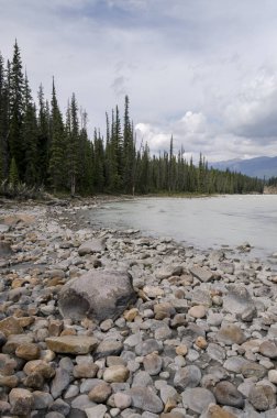 Athabasca Falls Alberta Kanada
