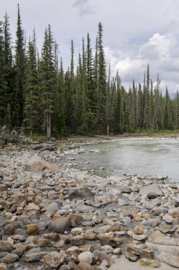 Athabasca Falls Alberta Kanada