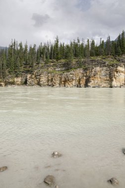 Athabasca Falls Alberta Kanada