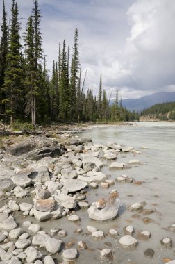 Athabasca Falls Alberta Kanada