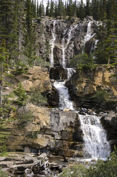 Cachoeira Tangle Creek Alberta Canadá — Fotografia de Stock