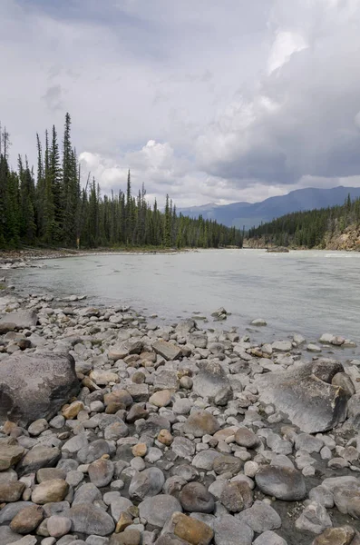 Athabasca Falls Alberta Kanada