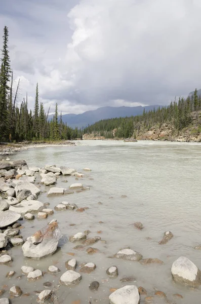 Athabasca Falls Alberta Kanada