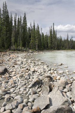 Athabasca Falls Alberta Kanada