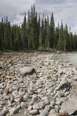 Athabasca Falls Alberta Kanada