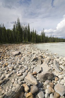 Athabasca Falls Alberta Kanada
