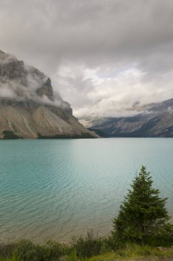 Yay Gölü Alberta Kanada 
