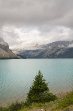 Yay Gölü Alberta Kanada 