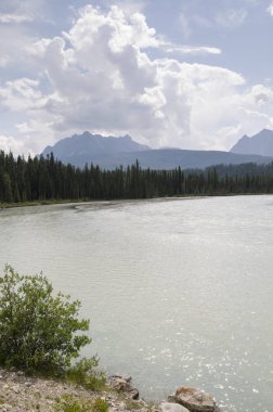 Alberta Kanada Athabasca nehir genel bakış 
