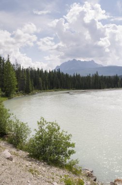Alberta Kanada Athabasca nehir genel bakış 