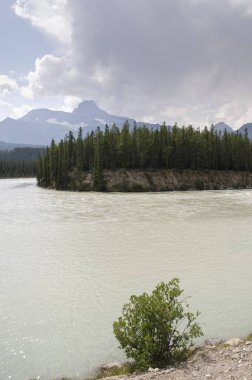 Alberta Kanada Athabasca nehir genel bakış 