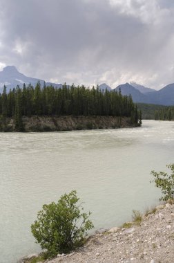 Alberta Kanada Athabasca nehir genel bakış 