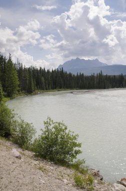 Alberta Kanada Athabasca nehir genel bakış 