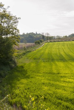 Po Ovası'nda İtalya kırsal kesimde genel bakış