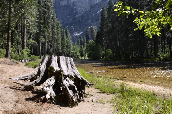 Řeka Yosemitském Národním Parku Kalifornii — Stock fotografie