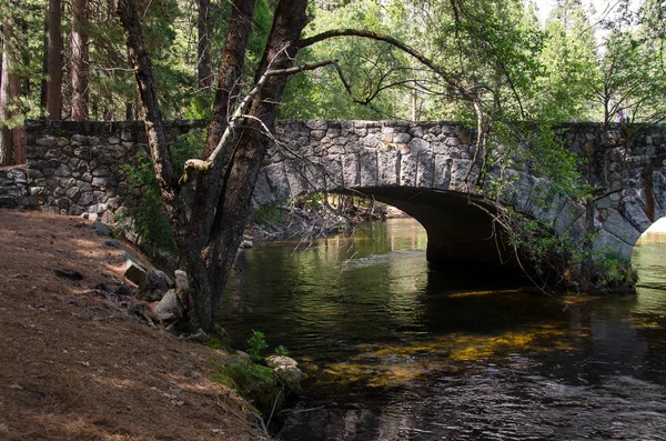 Річка Національному Парку Йосеміті Каліфорнії — стокове фото