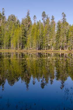 Göl California'daki Yosemite Milli Parkı '