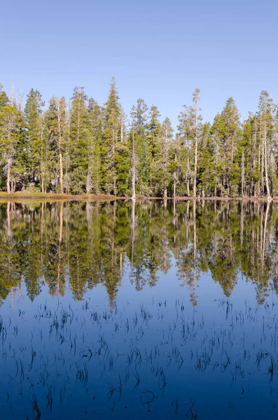 Озеро Национальном Парке Йосемити Калифорнии — стоковое фото