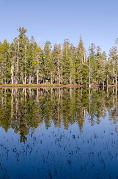 Jezero Yosemitském Národním Parku Kalifornii — Stock fotografie