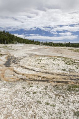 Wyoming 'deki Yellowstone Ulusal Parkı' nda gayzer.