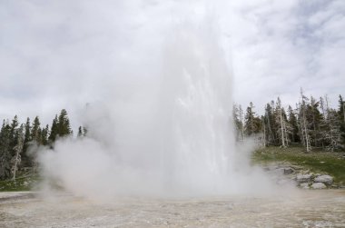 Wyoming 'deki Yellowstone Ulusal Parkı' nda gayzer.