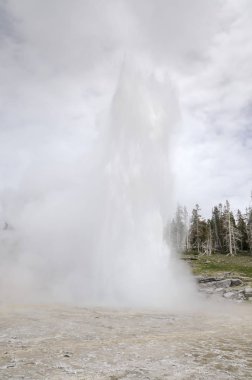 Wyoming 'deki Yellowstone Ulusal Parkı' nda gayzer.