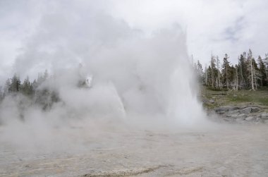Wyoming 'deki Yellowstone Ulusal Parkı' nda gayzer.