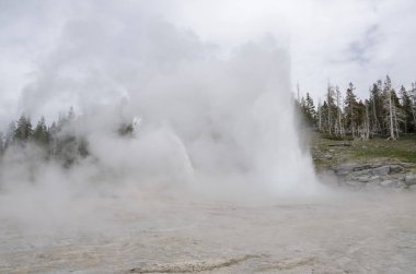 Wyoming 'deki Yellowstone Ulusal Parkı' nda gayzer.