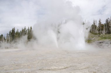 Wyoming 'deki Yellowstone Ulusal Parkı' nda gayzer.