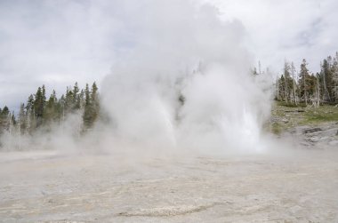Wyoming 'deki Yellowstone Ulusal Parkı' nda gayzer.