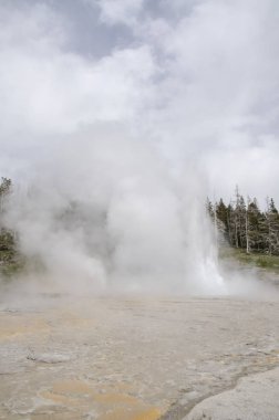 Wyoming 'deki Yellowstone Ulusal Parkı' nda gayzer.