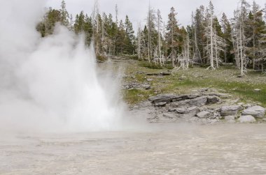 Wyoming 'deki Yellowstone Ulusal Parkı' nda gayzer.